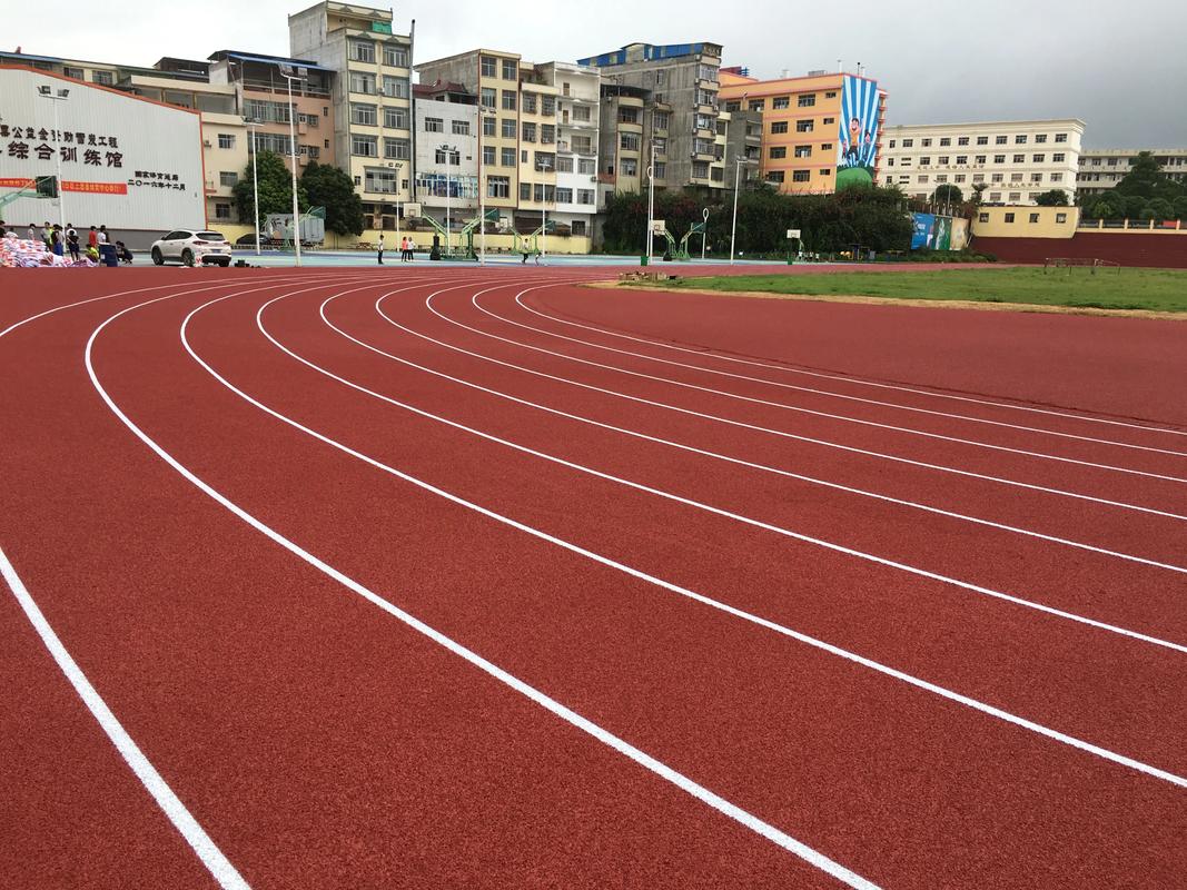 攀枝花市硅PU塑胶跑道材料 - 厂家